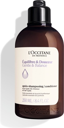 LOCCITANE EQUILIBRE  DOUCEUR CONDITIONER 250ML